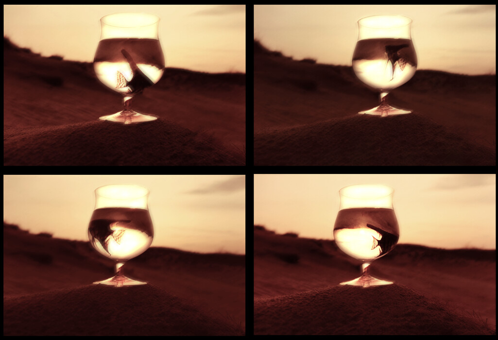 Apáti Tóth Sándor (1948) Fogoly 1-4., 1980