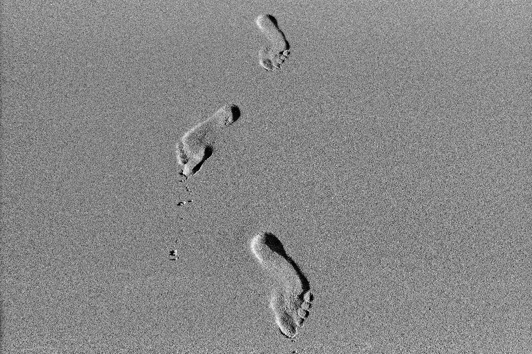 Szamódy Zsolt Olaf (1956) Montalivet, Jelenlét 3., 1995