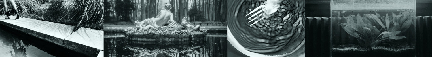 Gyűjtemény történet