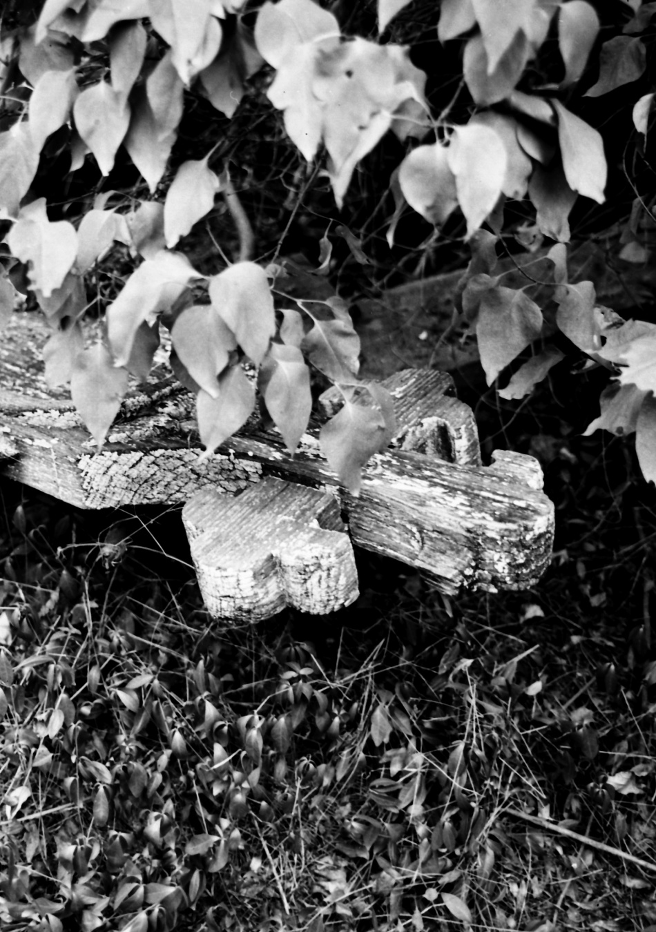 Más képek 1979-2009