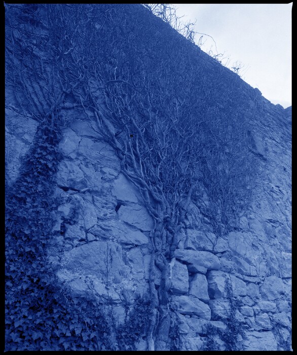 Idézet Somogyi Győzőtól 2., 1986