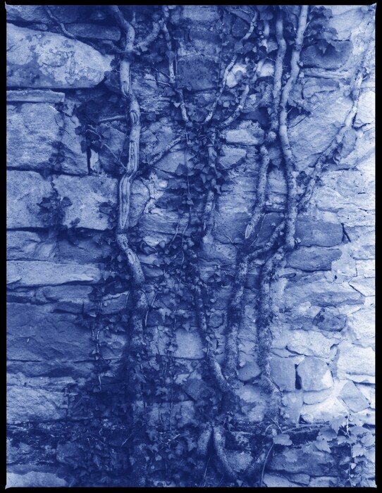 Salföldi anzix 5., 2015